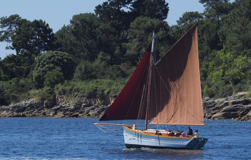 MOROAGH BIP1-f9a6eb7a