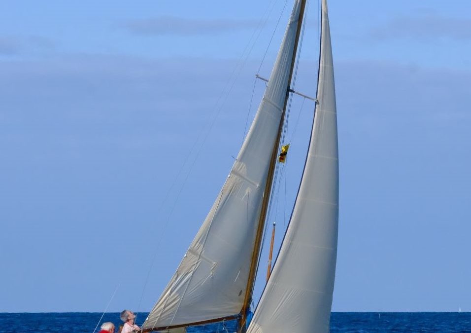 MARYAZUL