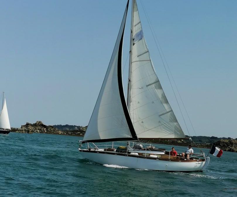 MOBY DICK 2