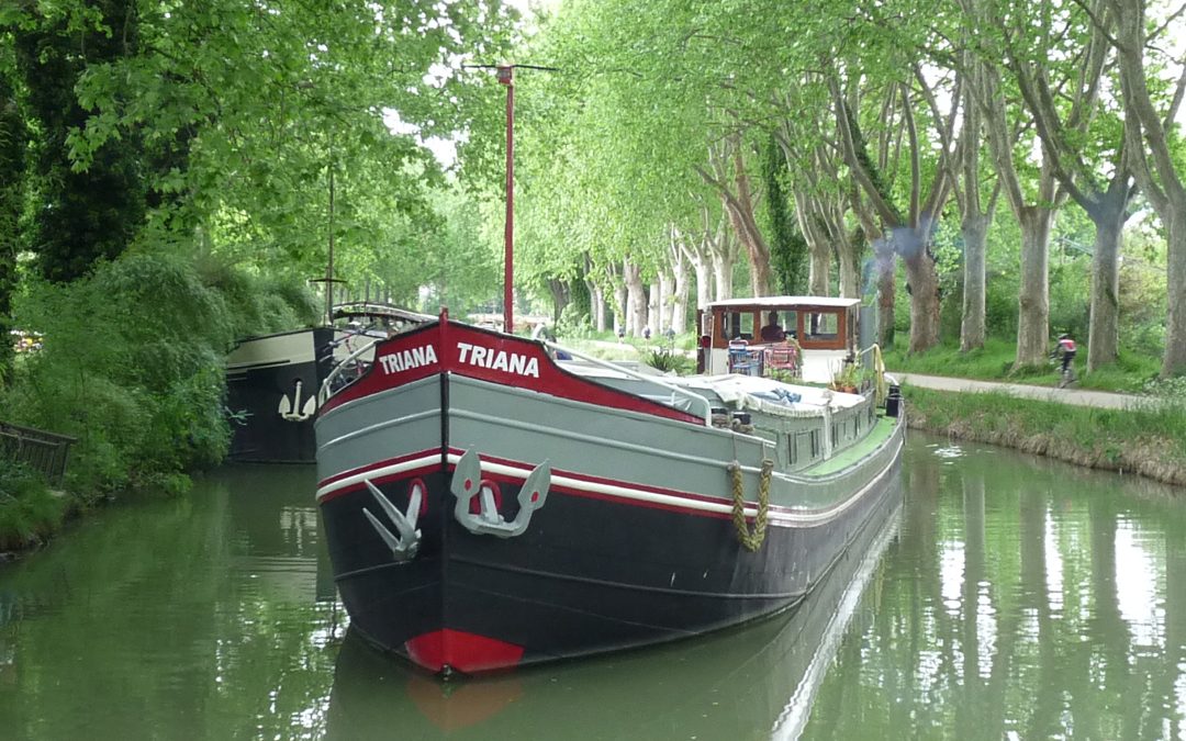TRIANA